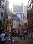 IMGP4197.jpg