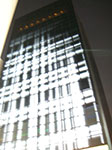 IMGP4213.jpg