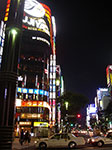 IMGP4219.jpg