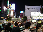 IMGP4239.jpg