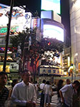 IMGP4241.jpg