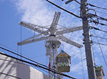 IMGP4244.jpg