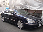 IMGP4246.jpg