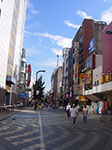 IMGP4247.jpg