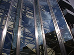 IMGP4248.jpg