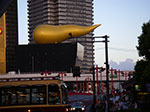 IMGP4259.jpg