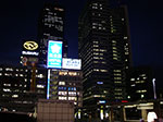 IMGP4263.jpg