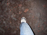 IMGP4312.jpg
