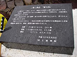 IMGP4511.jpg
