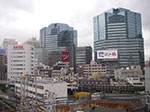 IMGP4567.jpg