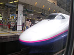 IMGP4570.jpg