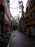 IMGP4578.jpg