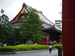 IMGP4581.jpg