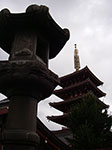 IMGP4587.jpg