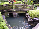 IMGP4593.jpg