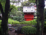 IMGP4597.jpg