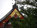 IMGP4598.jpg