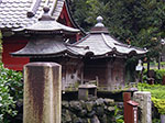 IMGP4599.jpg