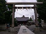 IMGP4607.jpg