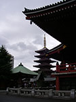 IMGP4612.jpg