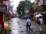 IMGP4614.jpg