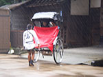 IMGP4616.jpg