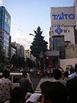 IMGP4629.jpg