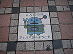 IMGP4634.jpg