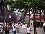 IMGP4674.jpg