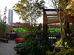 IMGP4715.jpg