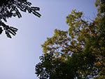 IMGP4721.jpg