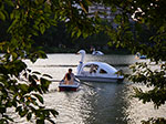 IMGP4737.jpg