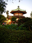 IMGP4738.jpg