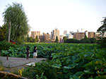 IMGP4744.jpg