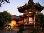 IMGP4745.jpg