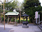 IMGP4747.jpg