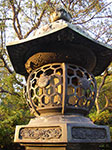 IMGP4749.jpg