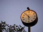 IMGP4754.jpg
