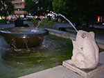 IMGP4765.jpg