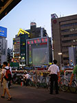 IMGP4771.jpg