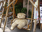 IMGP4808.jpg