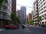 IMGP4811.jpg
