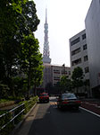 IMGP4815.jpg