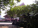 IMGP4819.jpg