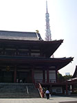 IMGP4823.jpg