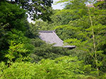 IMGP4824.jpg