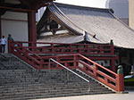 IMGP4826.jpg
