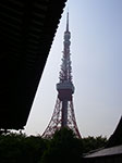 IMGP4828.jpg