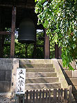 IMGP4830.jpg