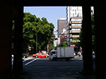 IMGP4832.jpg